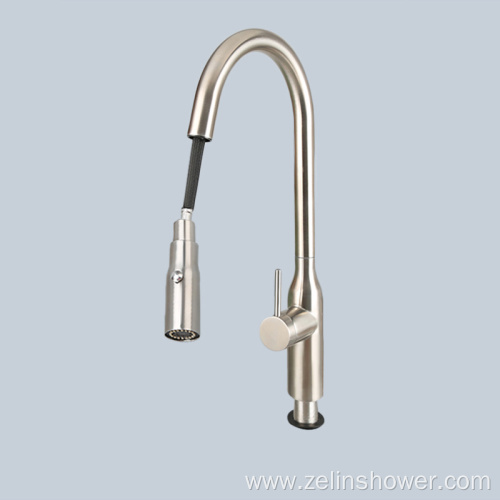 Stainless steel rotatable pull-out faucet shower head